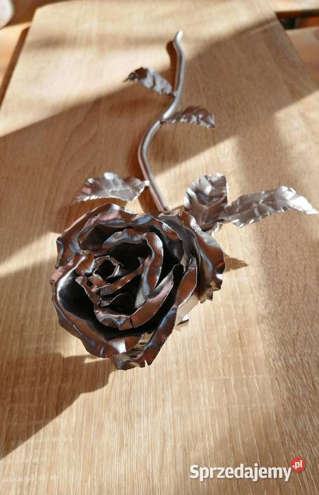 Stalowa róża wieczna róża inny kolor dolnośląskie Wrocław