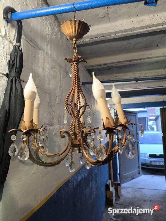 Żylador mosioc podkarpackie