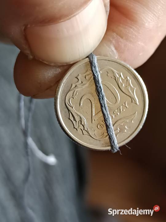 Sprzedam 20 groszy 2008 skretka Chełm