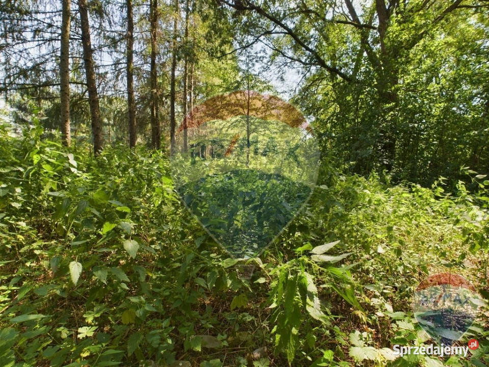 Na sprzedaż działka rekreacyjna Lenarcice opolskie