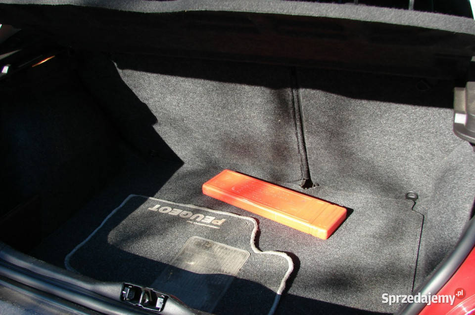 Peugeot 307 16 E 110 80000 stan listopad 2004 I manualna