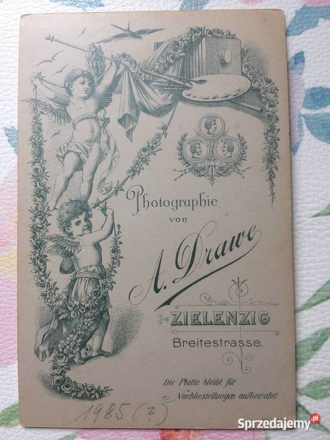 1231 SULĘCIN Niemieckie Zdjęcie Kartonikowe Szczecin sprzedam