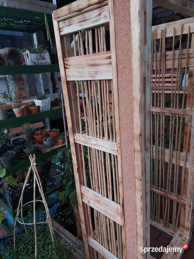 Terrarium kameleona naturalne drewno opolskie Opole