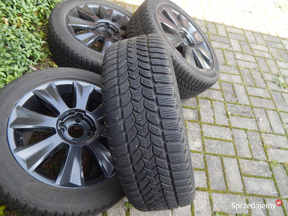 koła i felgi Citroen Cisów
