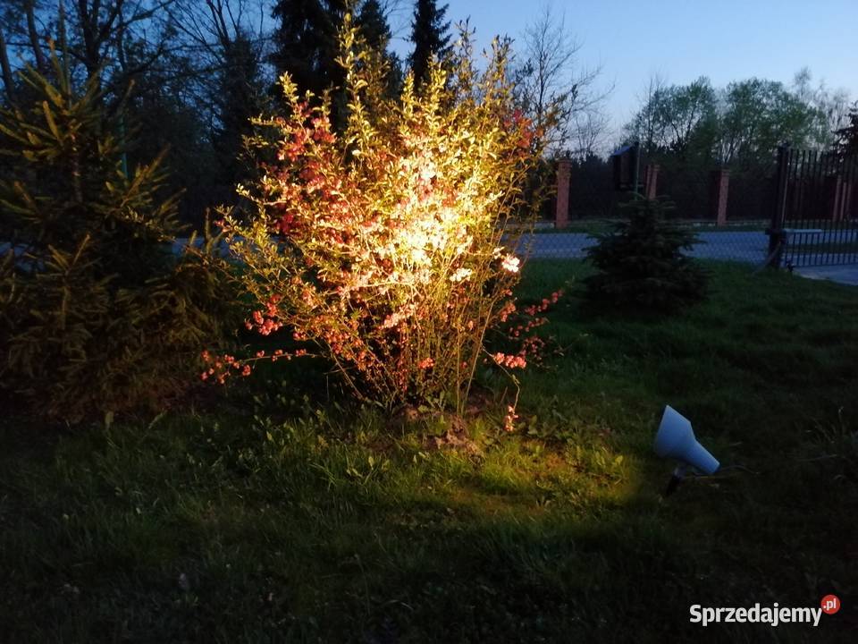 REFLEKTOR PODŚWIETLENIE łódzkie Szczerki