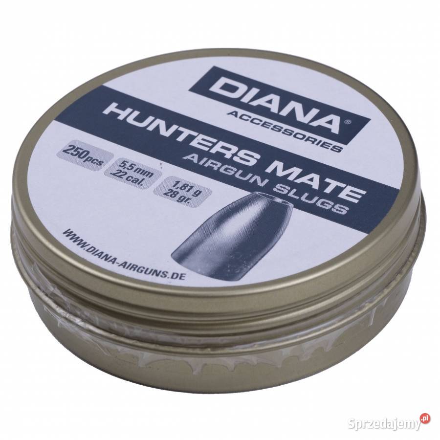 10x Śrut Diana Hunters Mate Slug 55 mm 250 wielkopolskie Przyłęki