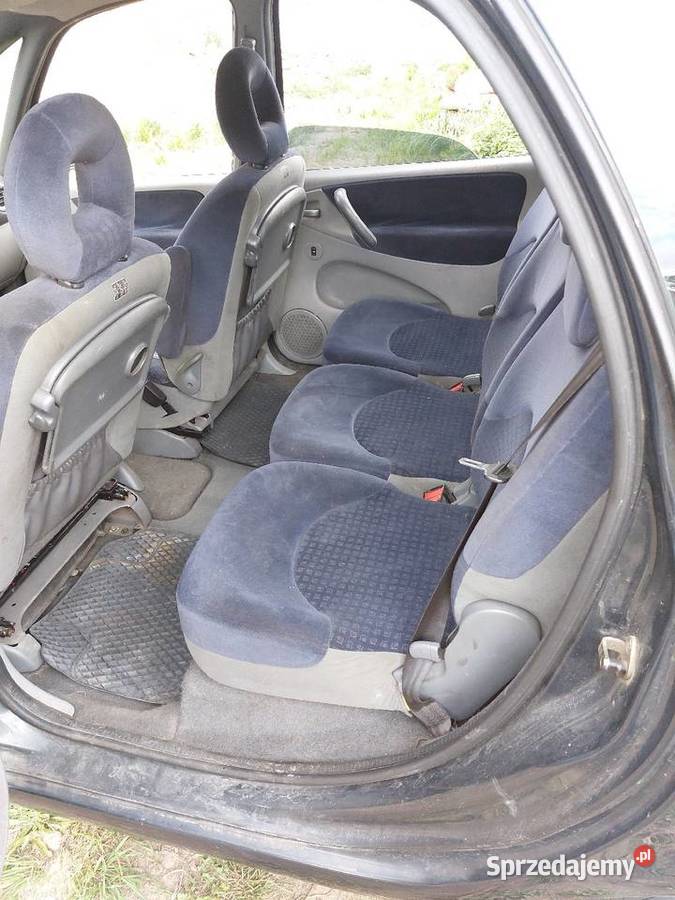 Xara picasso Motoryzacja