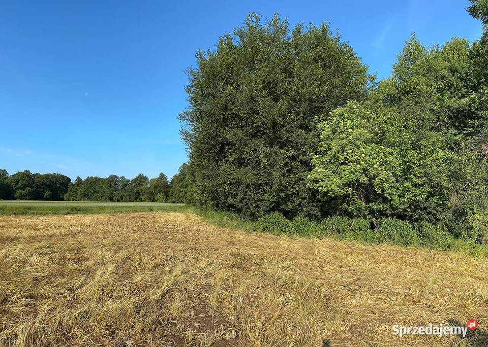Działka z możliwością zabudowy 21zł/m2 sprzedam