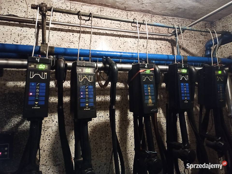 Dojarka przewodowa Alfa laval Złotów sprzedam