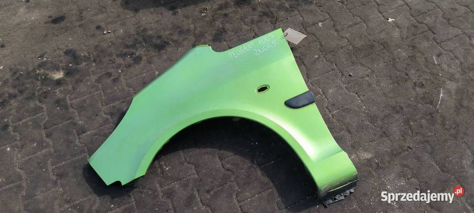 BŁOTNIK LEWY PRZÓD PEUGEOT 1007 KSH kujawsko-pomorskie Lipno