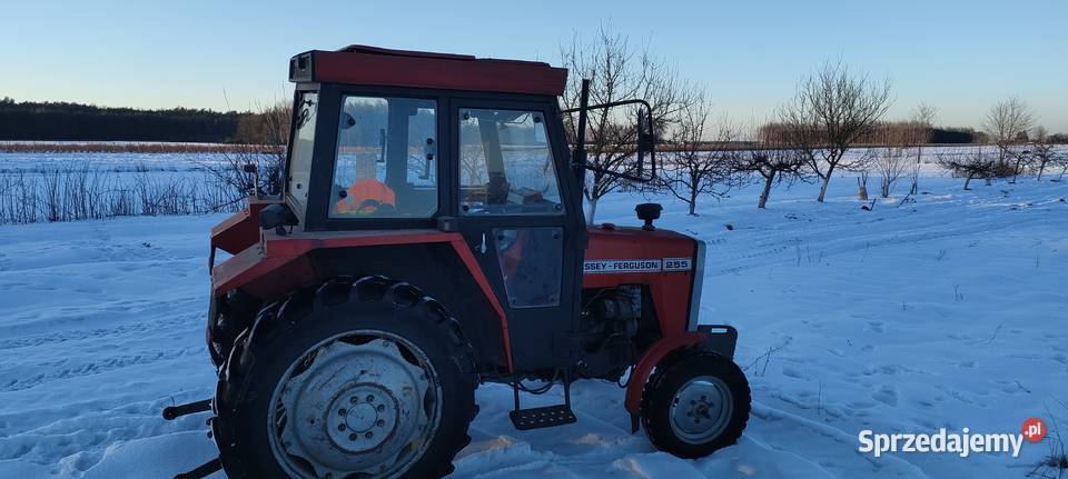 Ferguson MF 255 235 kabina export wspomaganie Zwoleń