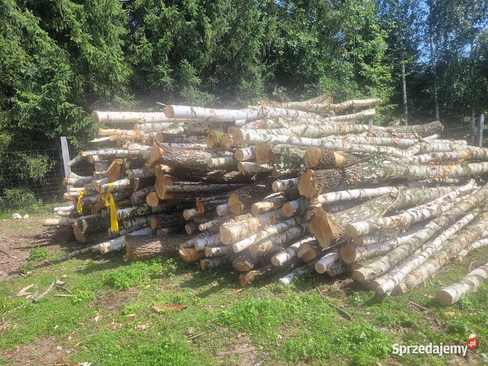 Drewno opałowe dolnośląskie Kamieniec Ząbkowicki sprzedam