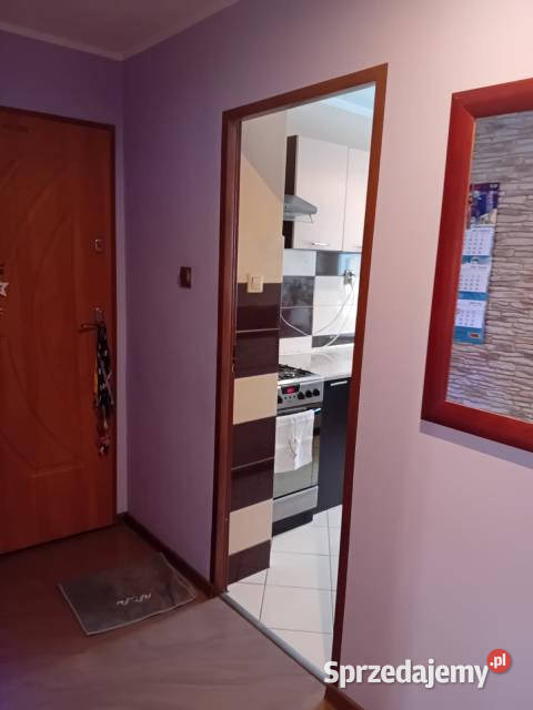 Mieszkanie 485m2 2 pokoje Pruszków Liczba pokoi 2 sprzedam