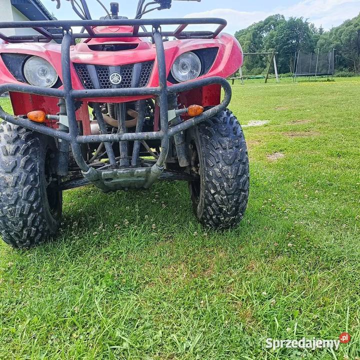 Yamaha bruin 250