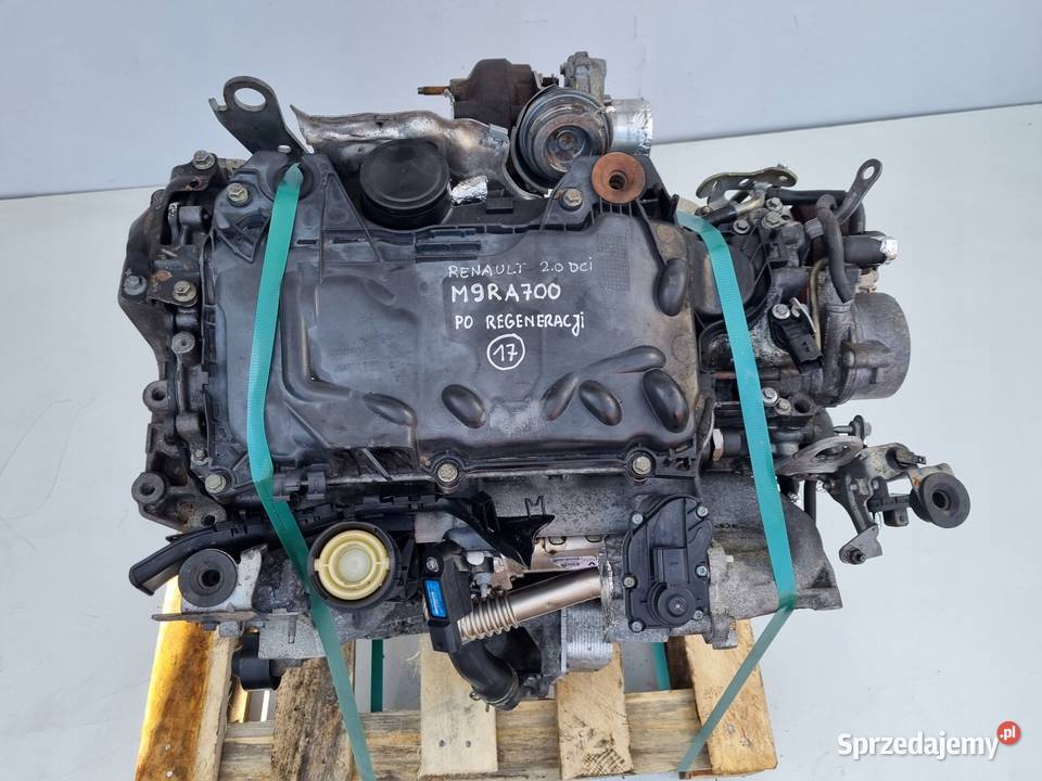 SILNIK REGENERACJI Renault Scenic II 20 DCI Rudka