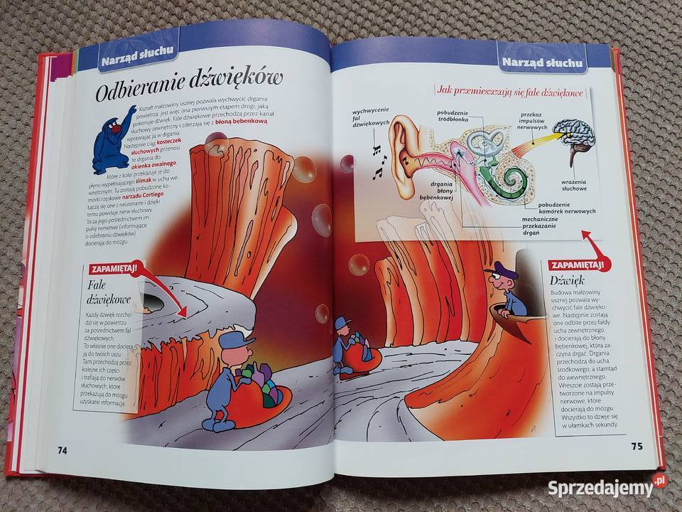 DVD książka Było sobie życie Encyklopedia dzieci
