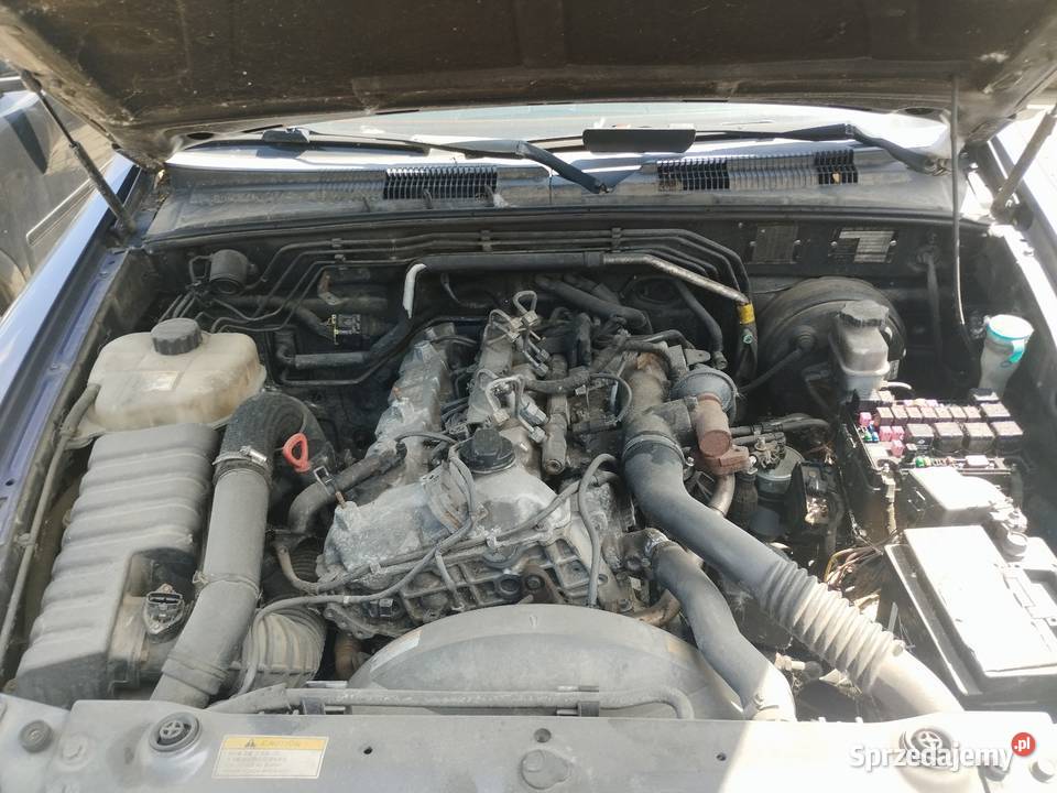 Ssang Yong rexton Lublin