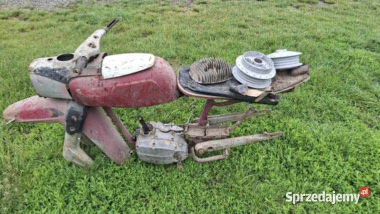 Shl gazela Hrubieszów