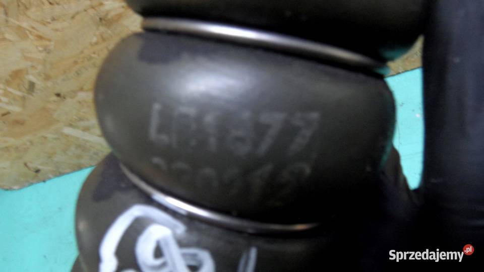 FORD FOCUS MK3 III 12r 16 TDCI rura intercoolera osobowe sprzedam