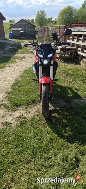 Junak 906 Gołębiewko
