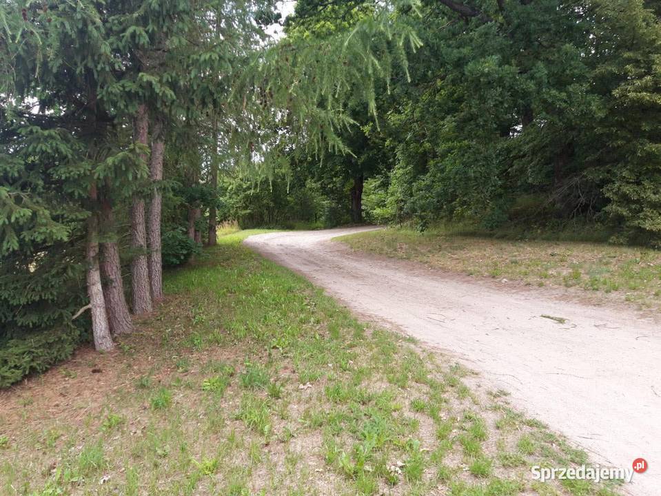 Działka budowlana z dostępem do rzeki budowlana Lipie