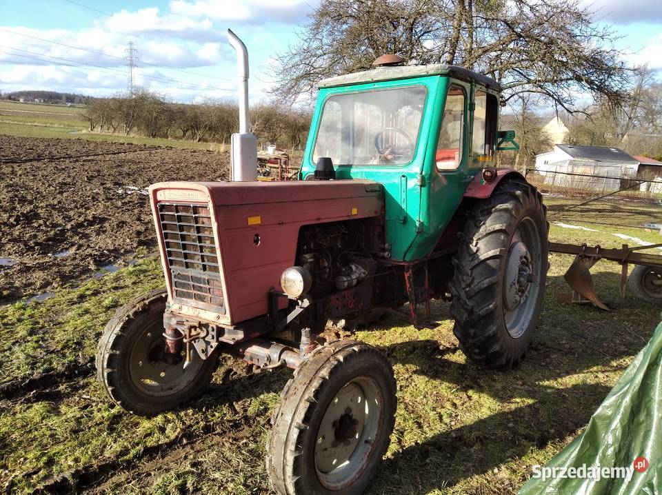 Sprzedam mtz 50 Bolesławiec