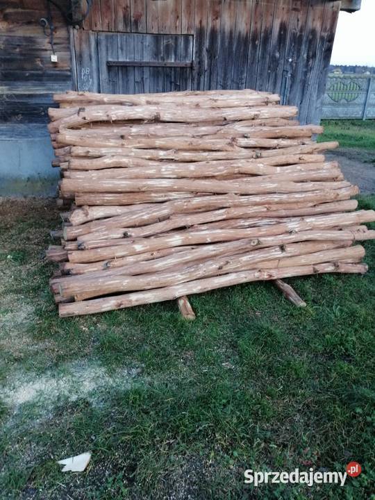 Kołki dębowe okorowane 250 12zl sztuka Koryciny