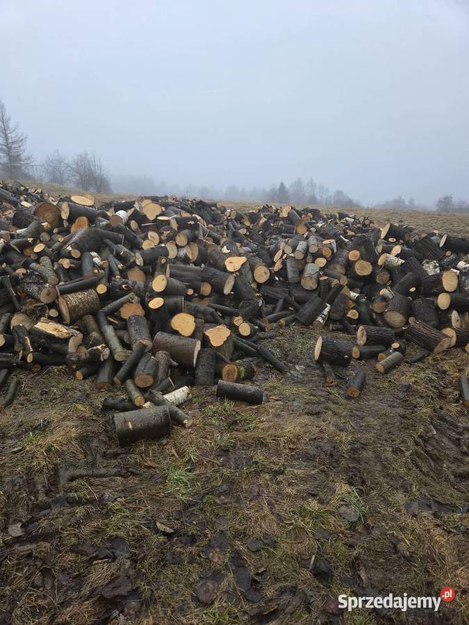Drewno opałowe grab brzoza osika