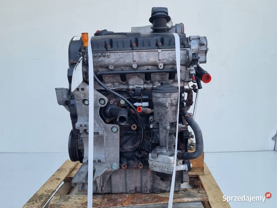 SILNIK KOMPLET VW Multivan V 19 TDI 85 Rudka