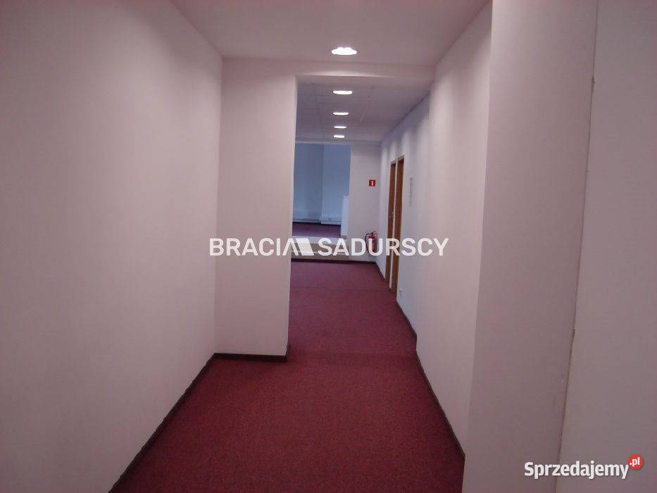 Lokal do wynajęcia Kraków 500m2 od ulicy