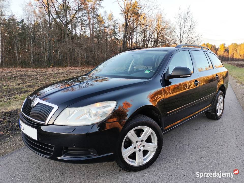 Skoda Octavia 19 TDI 105 2009 Gózd
