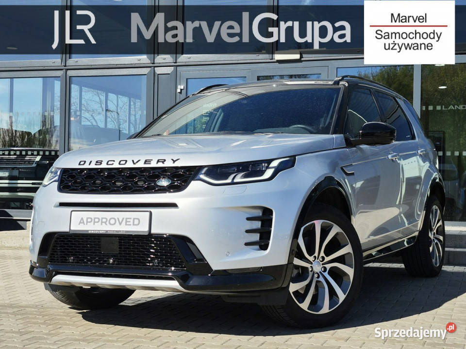 Land Rover Discovery Sport Discovery Sport 20D immobilizer Łódź