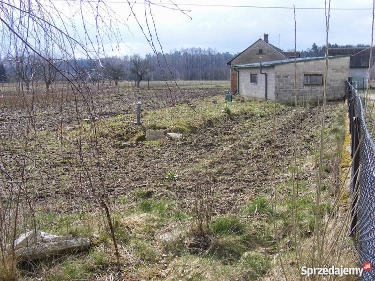 Działka siedliskowa Strzembowo 35 ha mazowieckie Strzembowo