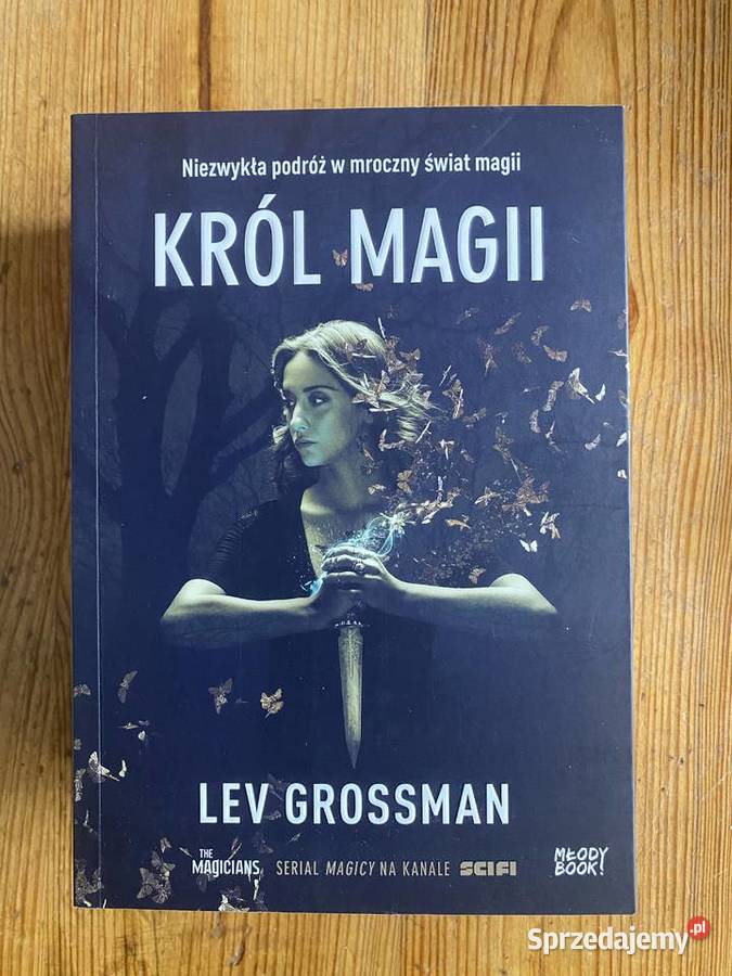 Czarodzieje Król Magii Kraina Czarodzieja Zielonka