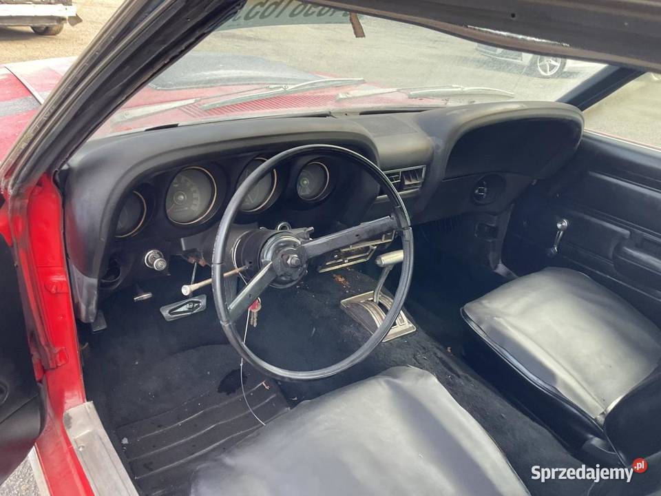 Ford Mustang Starogard Gdański