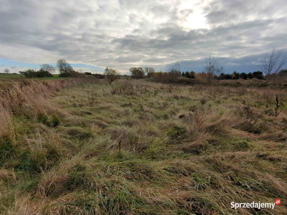 Nieruchomość niezabudowana Syndyka Chodów sprzedam