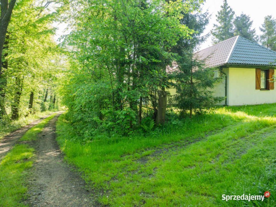 Klimatyczny dom wśród zieleni 9700 m Chronów