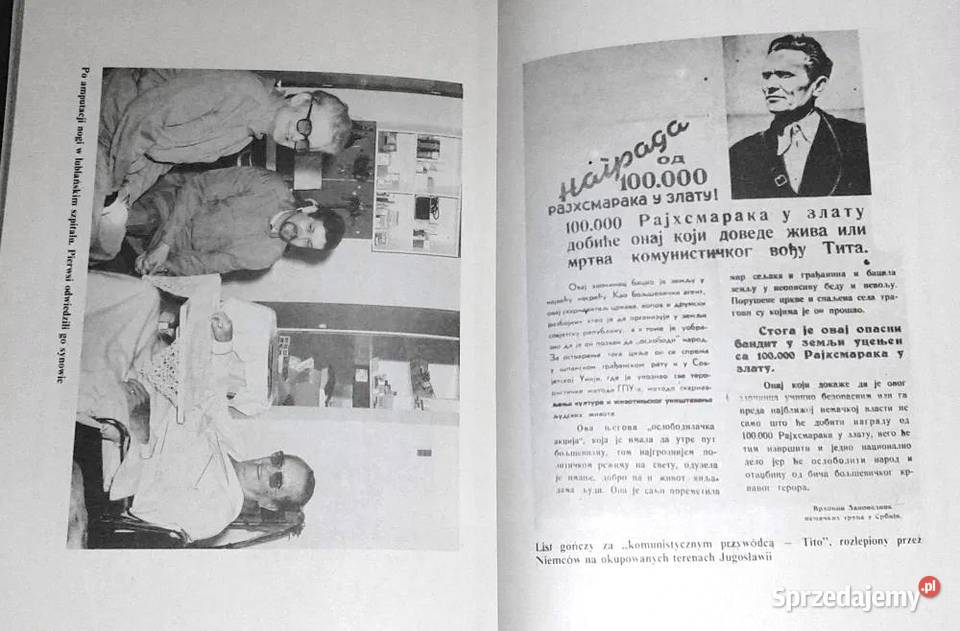 Tito jakiego nie znamy Jerzy Woydyłło Rok wydania 1991 Chełm sprzedam