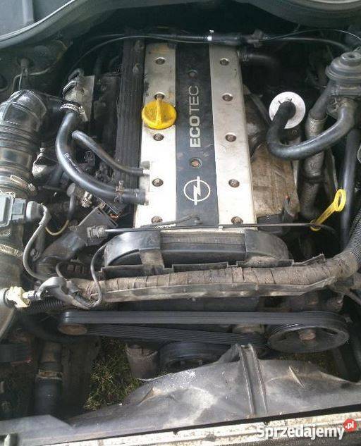 OMEGA B silnik i skrzynia automatyczna w Sulechów