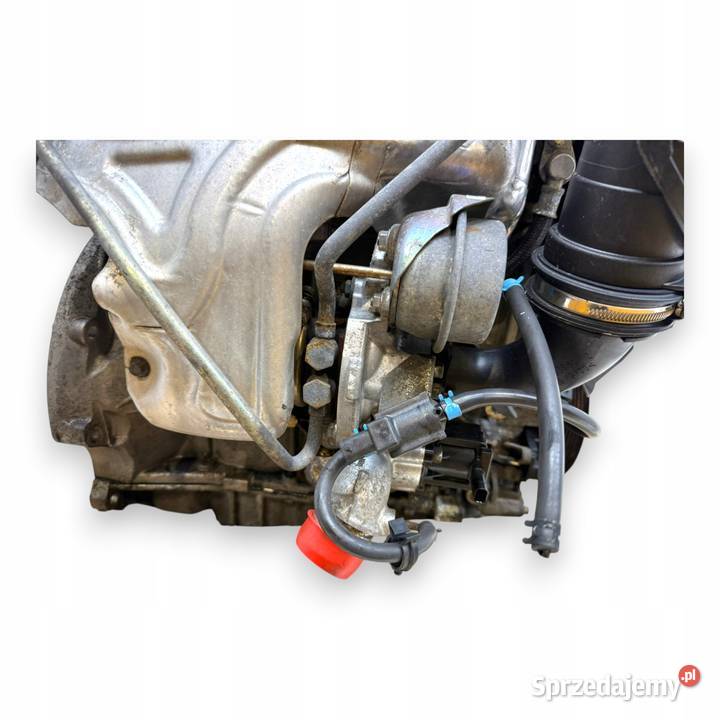 SILNIK JTDB Ford C C II Focus III MK3 16