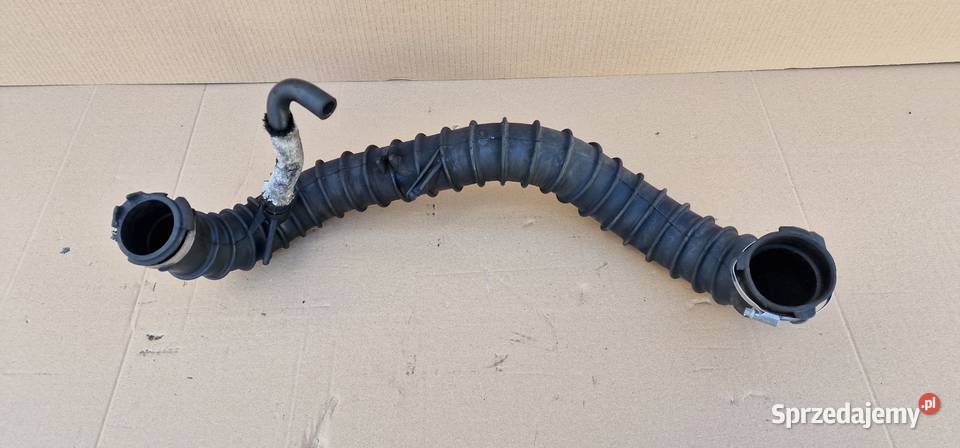 MASTER II MOVANO RURA DOLOT POWIETRZA Bieleń