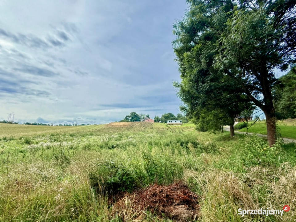 Duża działka 6000 m w Demlinie spokój natura i Demlin