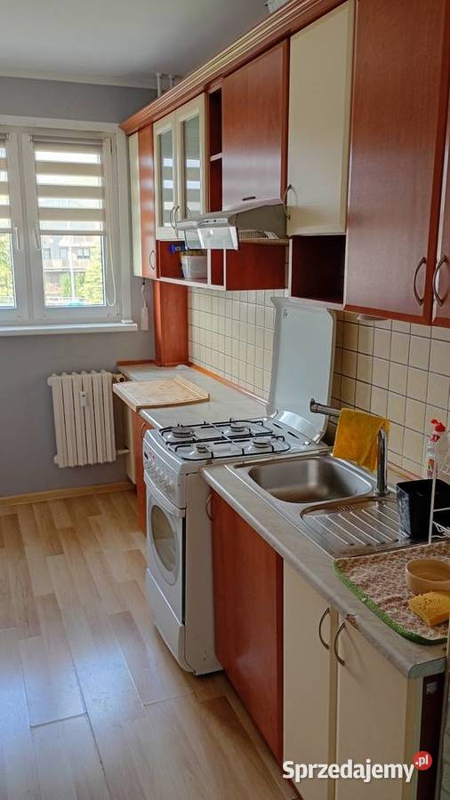 Wynajmę mieszkanie w Elblągu J Sobieskiego Liczba pokoi 506600225 Nieruchomości warmińsko-mazurskie Elbląg