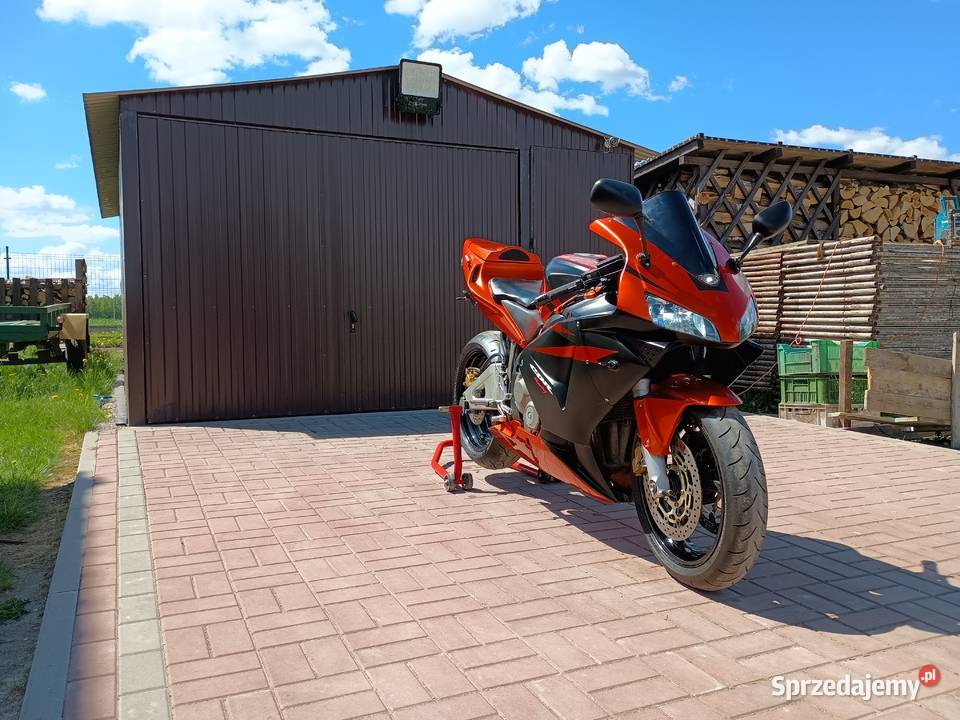 Honda CBR 600 RR Honda Nieżywięć
