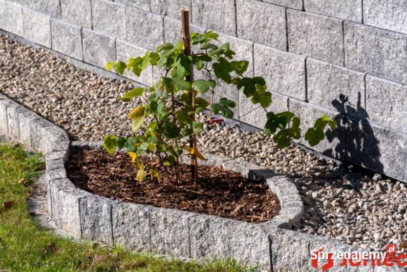 Palisada łupana JONIEC STONE 151 x 6 x 19 Miechów