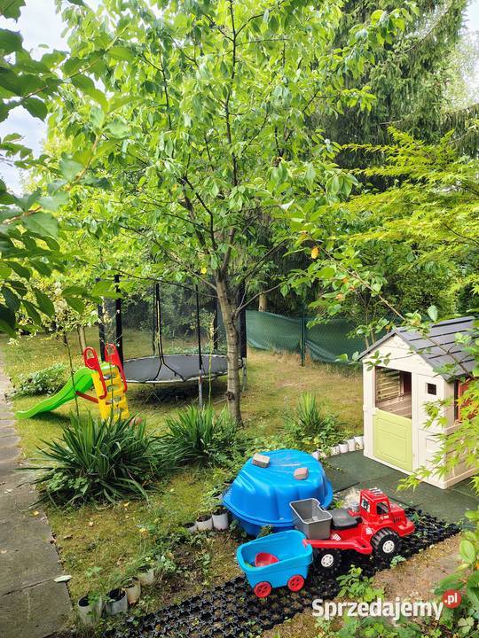 Działka ROD Bonarka prąd Kraków