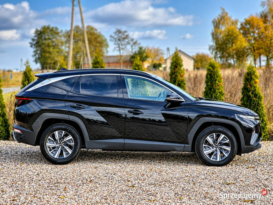 Hyundai Tucson IV 2020 Sadlno