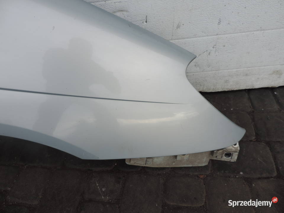 BŁOTNIK PRAWY PRZEDNI RENAULT SCENIC 1 FL MV632 Błotniki małopolskie