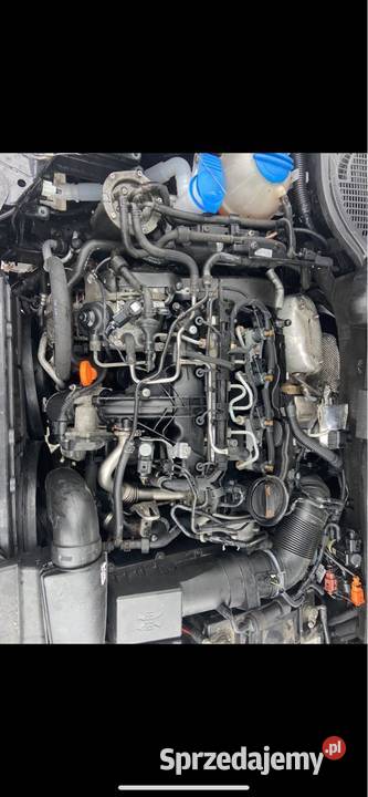 Skoda Octavia II 0710r 20 tdi cr 18 tsi Czesci Kombi Octavia Włodawa