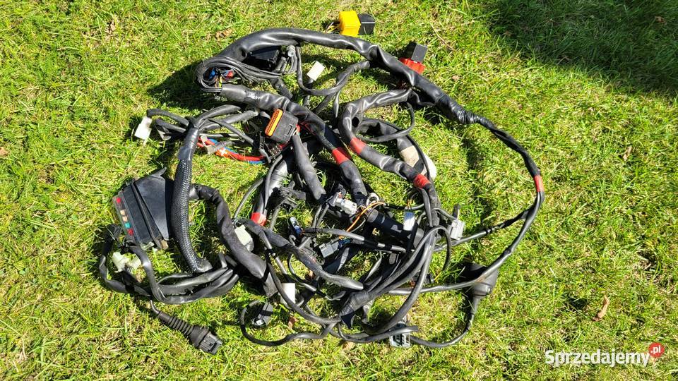 wiazka elektryczna MALAGUTI BLOG wielkopolskie Piła